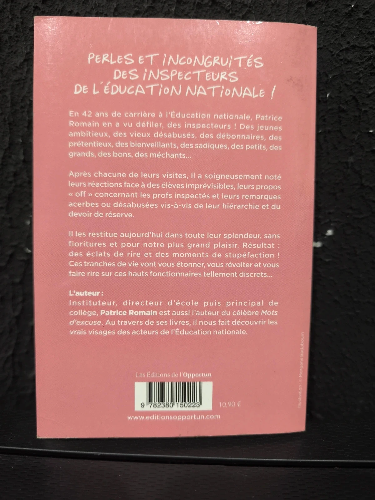 Inspecteurs casse-couilles – photo 2